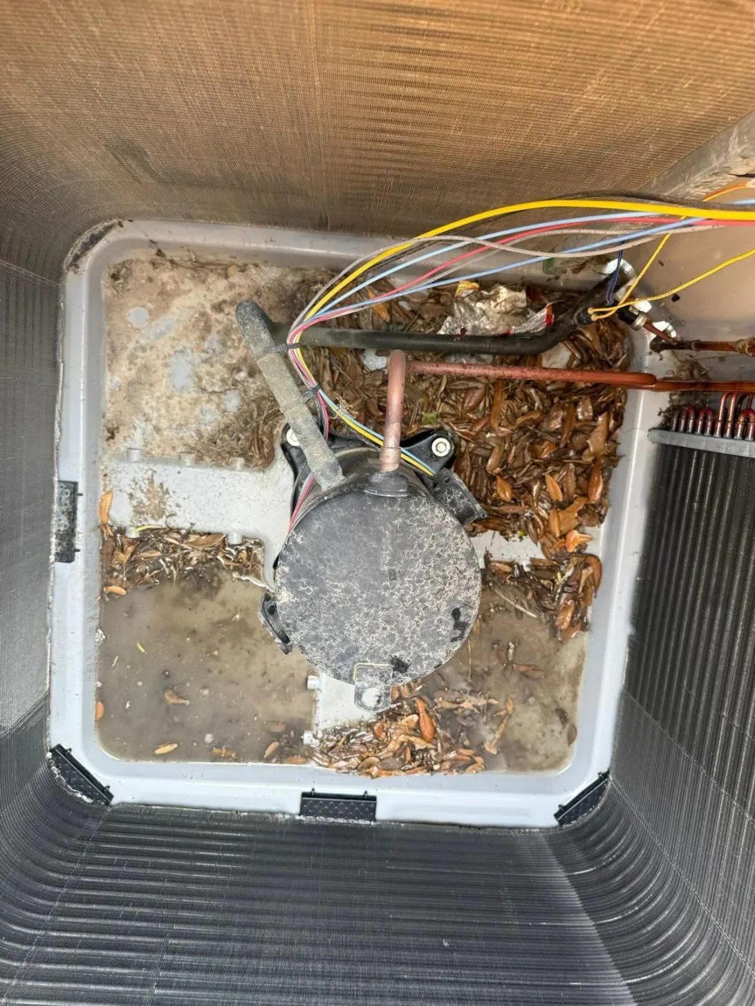 Leaves and debris packed around the fan motor inside an outdoor AC condenser before cleaning