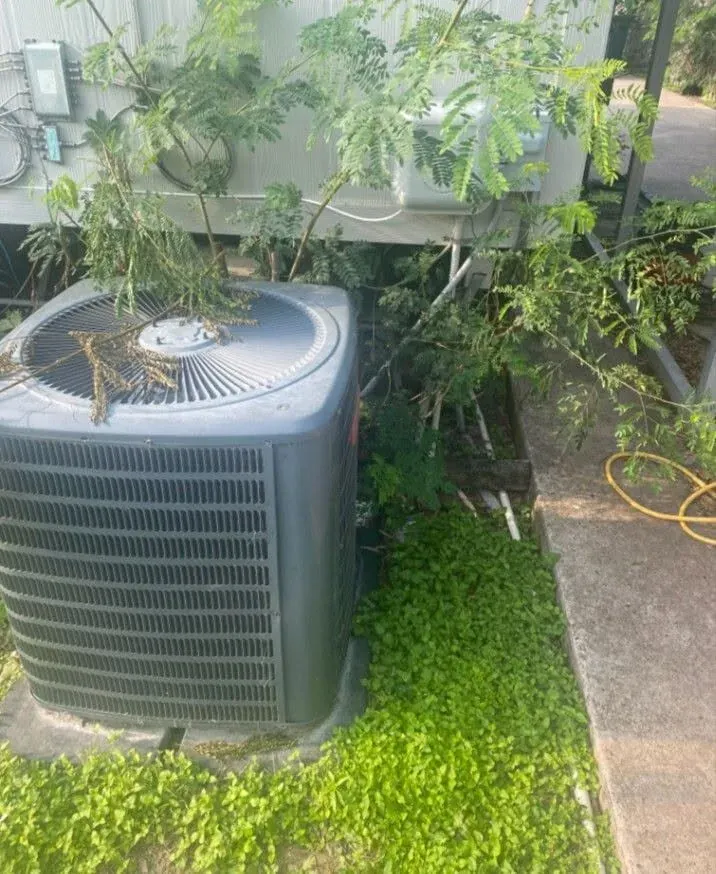 Outdoor AC condenser overgrown with plants that block its airflow